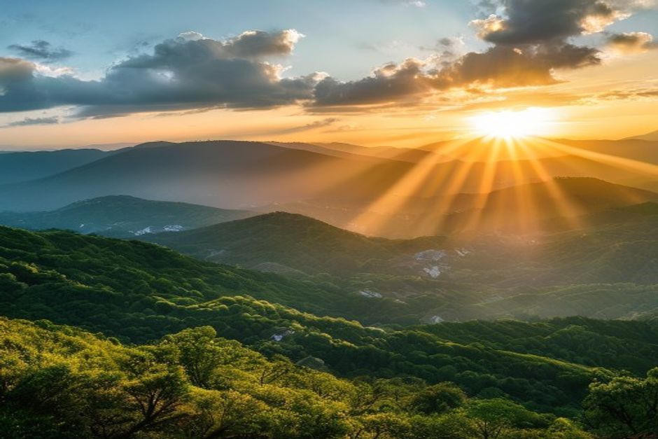 朝霧高原